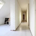 Rent 5 bedroom house of 150 m² in groningen