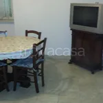 Rent 2 bedroom apartment of 50 m² in Frosinone