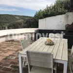 Rent 4 bedroom house of 120 m² in Orbetello