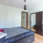 Rent 1 bedroom apartment in Porto