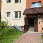 Rent 2 bedroom apartment of 49 m² in Goleniów