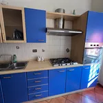 Rent 1 bedroom apartment of 114 m² in Rome