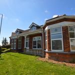 Rent 1 bedroom flat in Thanet