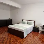 Rent 4 bedroom apartment in Coimbra