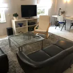 Rent 2 bedroom apartment of 52 m² in Rüsselsheim