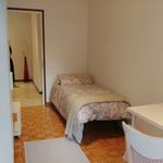 Rent a room in Padova