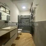 Rent 2 bedroom apartment of 81 m² in Pavia