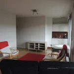 Rent 1 bedroom apartment of 34 m² in REIMS