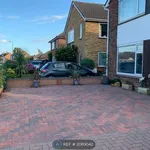 Rent 4 bedroom house in East Of England