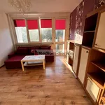 Rent 1 bedroom apartment of 33 m² in Kielce