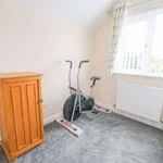 Rent 3 bedroom apartment in Birmingham