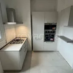 Rent 4 bedroom apartment of 120 m² in Biella