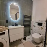 Studio o rozloze 40 m² v Prague