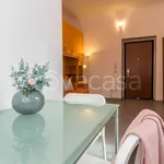 Rent 1 bedroom apartment of 30 m² in Milano