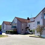 Rent 1 bedroom apartment of 4497 m² in Zellingen