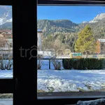 Rent 3 bedroom apartment of 70 m² in San Vito di Cadore