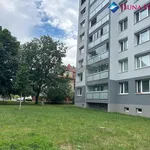 Pronajměte si 1 ložnic/e byt o rozloze 32 m² v Capital City of Prague