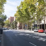 Rent 5 bedroom apartment in Madrid