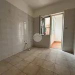 Affitto 4 camera appartamento di 120 m² in Palermo