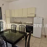 Rent 2 bedroom apartment of 50 m² in Bologna