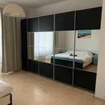 Pronajměte si 1 ložnic/e byt o rozloze 52 m² v Prague