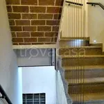 Rent 3 bedroom apartment of 80 m² in Modena