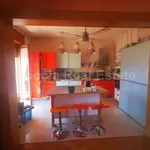 Rent 4 bedroom apartment of 150 m² in Caserta