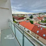 Rent 1 bedroom apartment of 38 m² in Plzeň