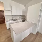 Rent 4 bedroom apartment of 110 m² in Vicenza