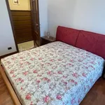 Rent 2 bedroom apartment of 65 m² in Milano