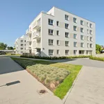 Rent 3 bedroom apartment of 76 m² in Pruszków