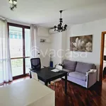 Rent 2 bedroom apartment of 50 m² in Milano