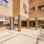 Rent a room of 150 m² in madrid