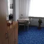 Rent 1 bedroom apartment in Chomutov