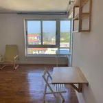 Rent 4 bedroom apartment in Porto