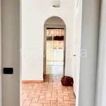 Rent 5 bedroom apartment of 110 m² in Ferrara