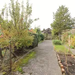 Rent 4 bedroom house of 85 m² in Sheffield