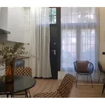 Rent 1 bedroom apartment of 45 m² in Madrid