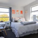 Rent 5 bedroom apartment in Christchurch