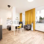 Rent 1 bedroom apartment of 35 m² in Brno