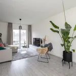 Huur 1 slaapkamer appartement van 55 m² in Breda