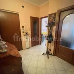 Rent 3 bedroom apartment of 75 m² in Turin