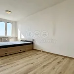 Rent 4 bedroom apartment of 85 m² in Nymburk