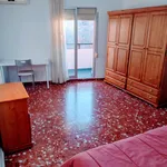 Alquilar 5 dormitorio apartamento en Alicante