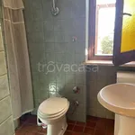 Rent 2 bedroom apartment of 40 m² in Trevignano Romano