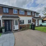 Rent 3 bedroom flat in Cardiff