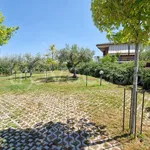 Rent 3 bedroom apartment of 89 m² in Frascati