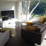 Rent 3 bedroom house in Wellington