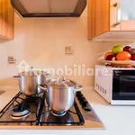 Rent 2 bedroom apartment of 50 m² in Rome