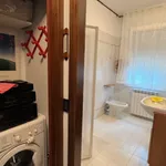 Rent 2 bedroom student apartment of 50 m² in Venezia